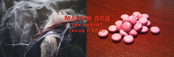 прущие грибы Арсеньев