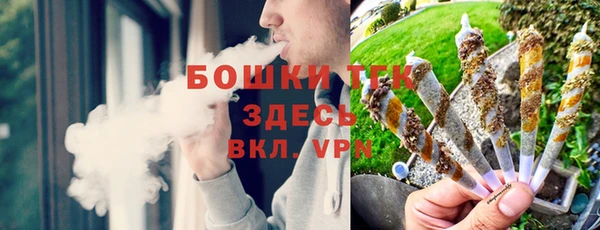 прущие грибы Арсеньев