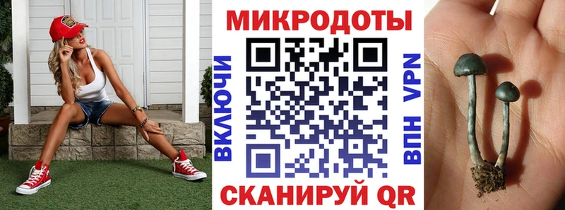 Псилоцибиновые грибы Psilocybine cubensis  mega tor  Слободской 